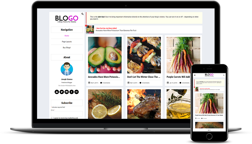 Blogo Weebly Blog Theme